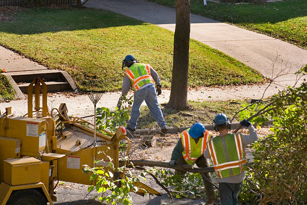  Winston Salem, NC Tree Services Pros